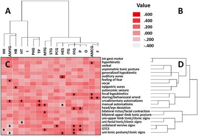 Correlation Between Ictal Signs and Anatomical Subgroups in Temporal Lobe Seizures: A Stereoelectroencephalography Study